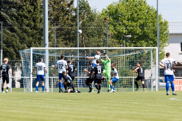 Arbeitssieg im Heimspiel gegen Weimar