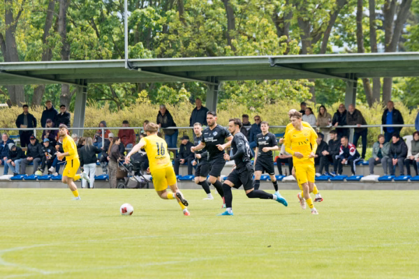 Zitterpartie im Heimspiel gegen Nordhausen